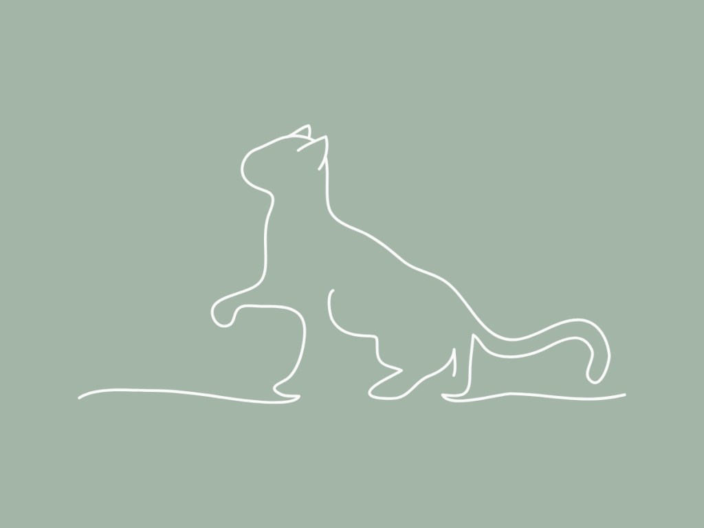 The 3 Best Pet Water Fountains for Cat&nbsp;Owners